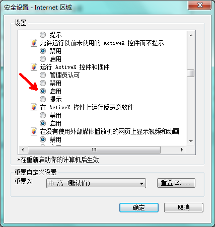 安装ActiveX控件图6